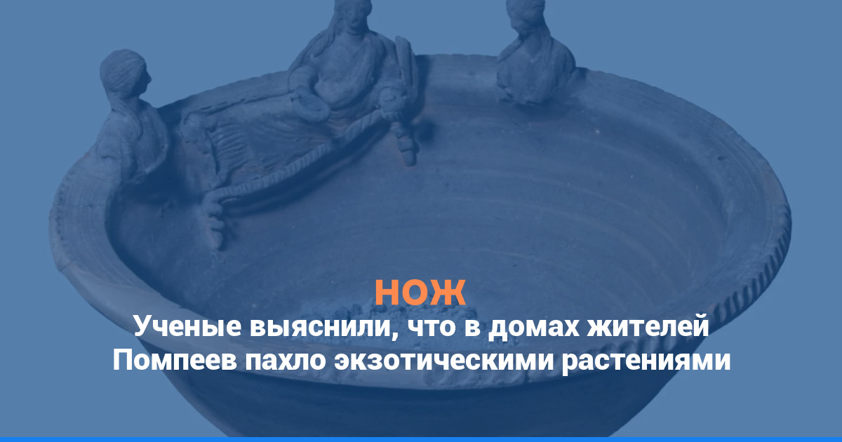 Ученые выяснили, что в домах жителей Помпеев пахло экзотическими растениями