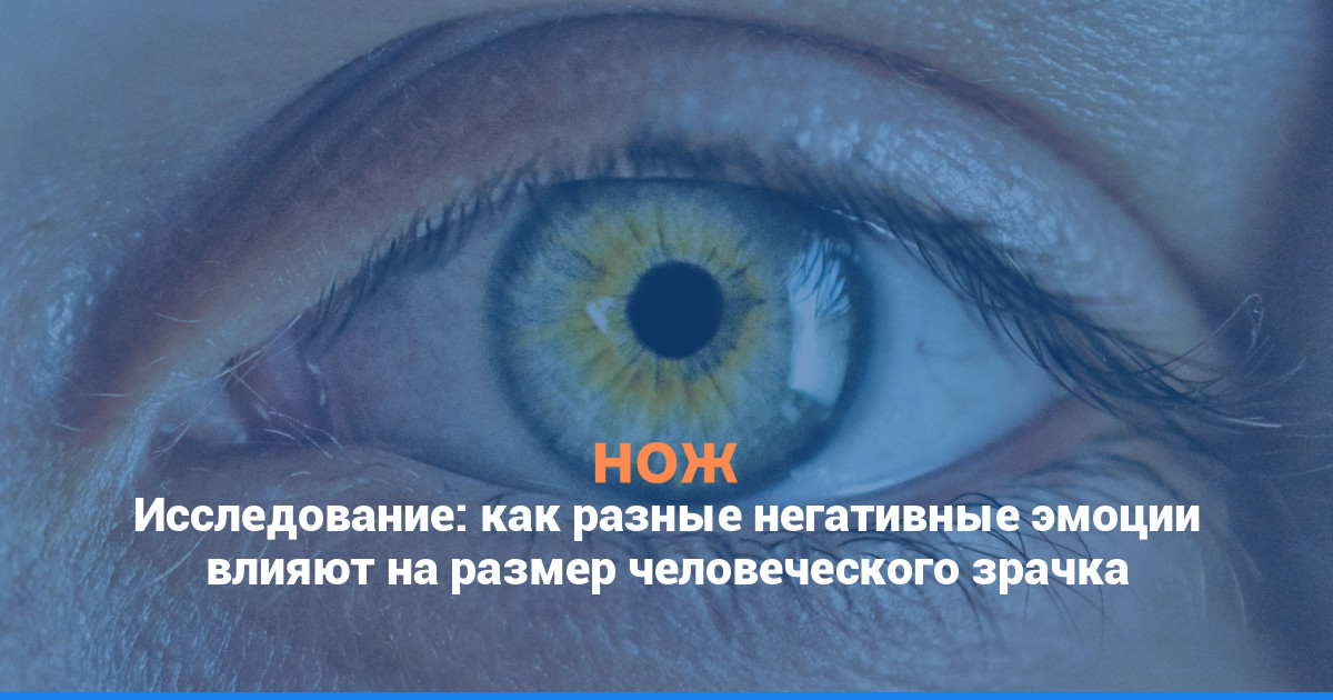 Исследование: как разные негативные эмоции влияют на размер человеческого зрачка