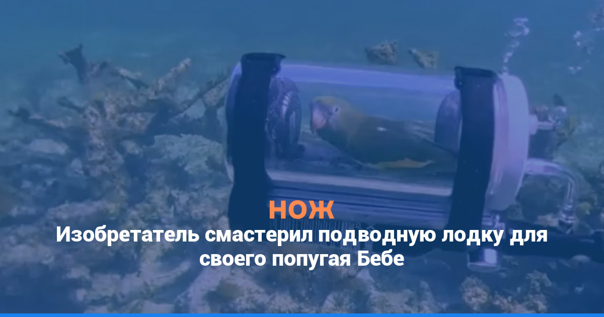 Изобретатель смастерил подводную лодку для своего попугая Бебе