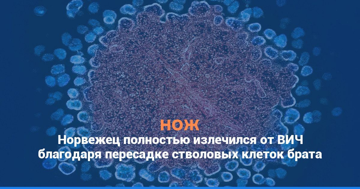 Норвежец полностью излечился от ВИЧ благодаря пересадке стволовых клеток брата