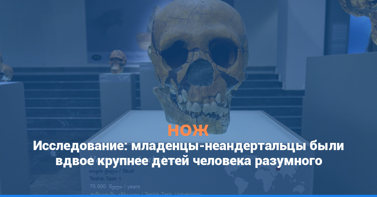 Исследование: младенцы-неандертальцы были вдвое крупнее детей человека разумного