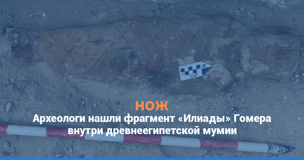 Археологи нашли фрагмент «Илиады» Гомера внутри древнеегипетской мумии