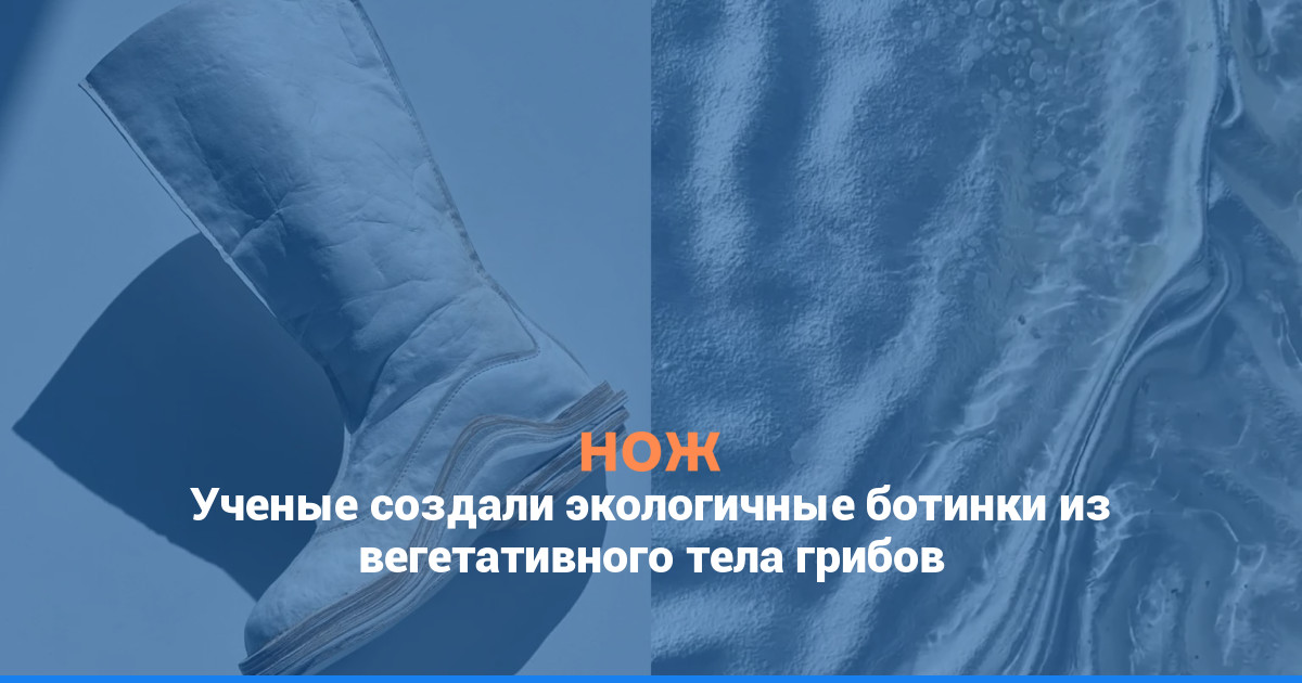 Ученые создали экологичные ботинки из вегетативного тела грибов