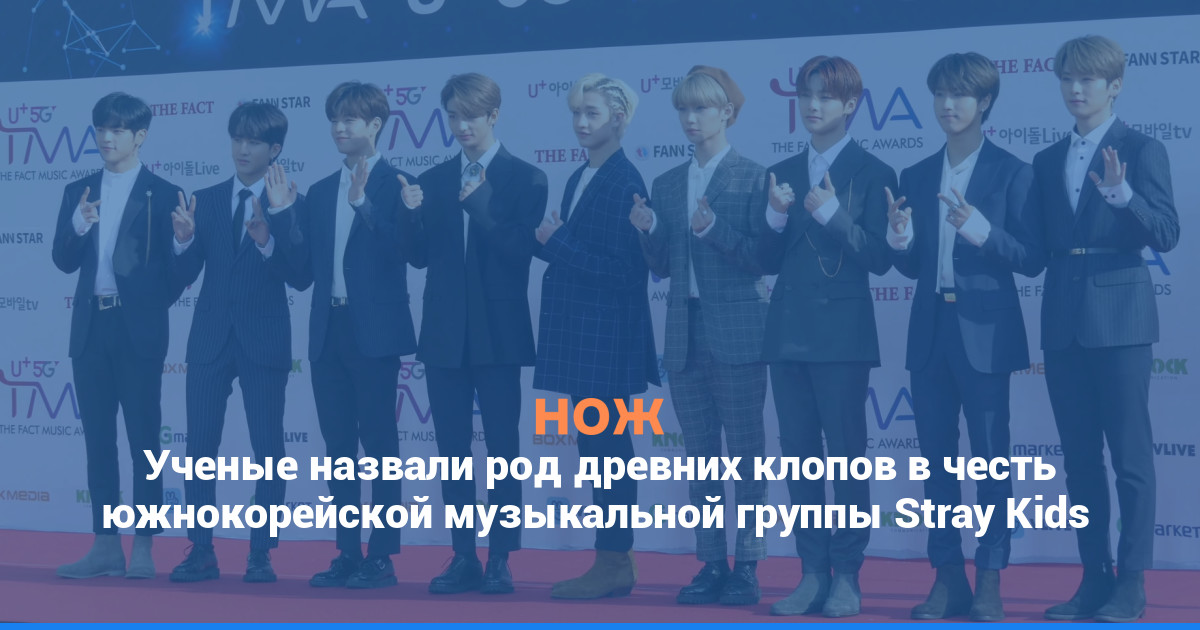 Ученые назвали род древних клопов в честь южнокорейской музыкальной группы Stray Kids