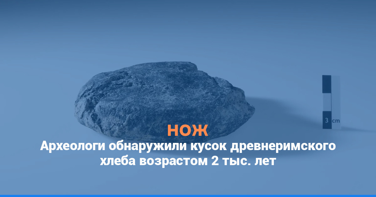 Археологи обнаружили кусок древнеримского хлеба возрастом 2 тыс. лет
