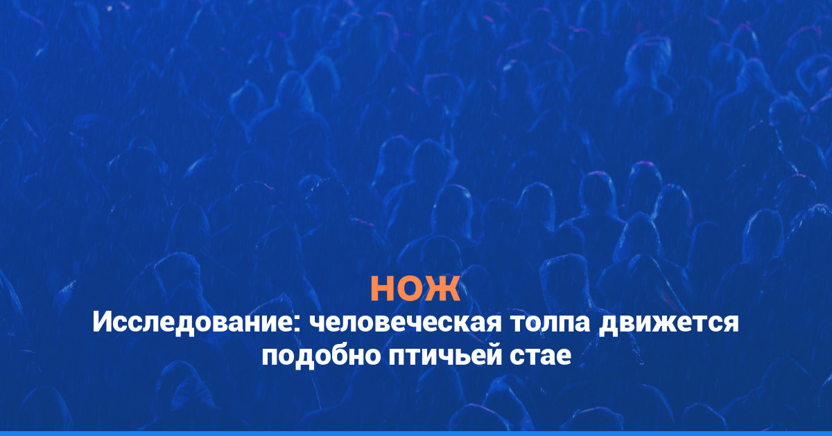 Исследование: человеческая толпа движется подобно птичьей стае