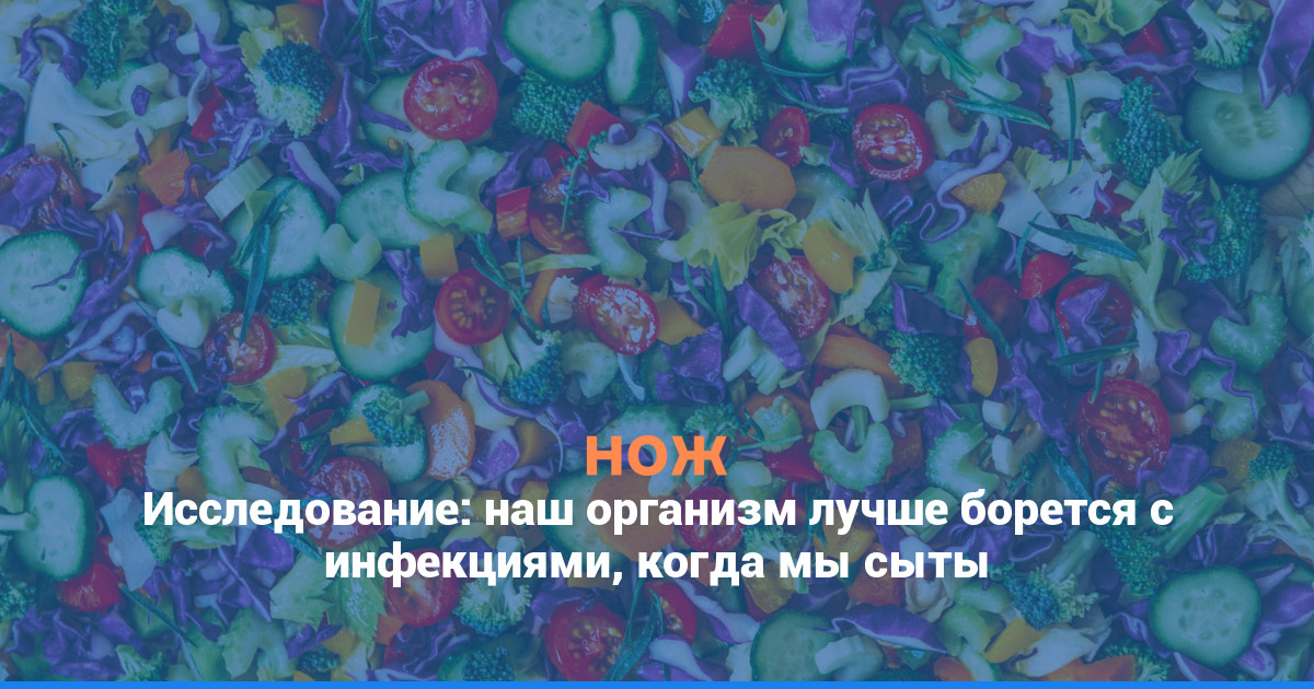 Исследование: наш организм лучше борется с инфекциями, когда мы сыты