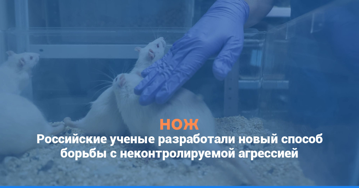 Российские ученые разработали новый способ борьбы с неконтролируемой агрессией