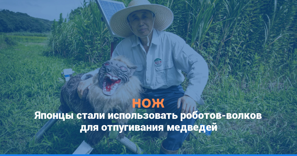 Японцы стали использовать роботов-волков для отпугивания медведей
