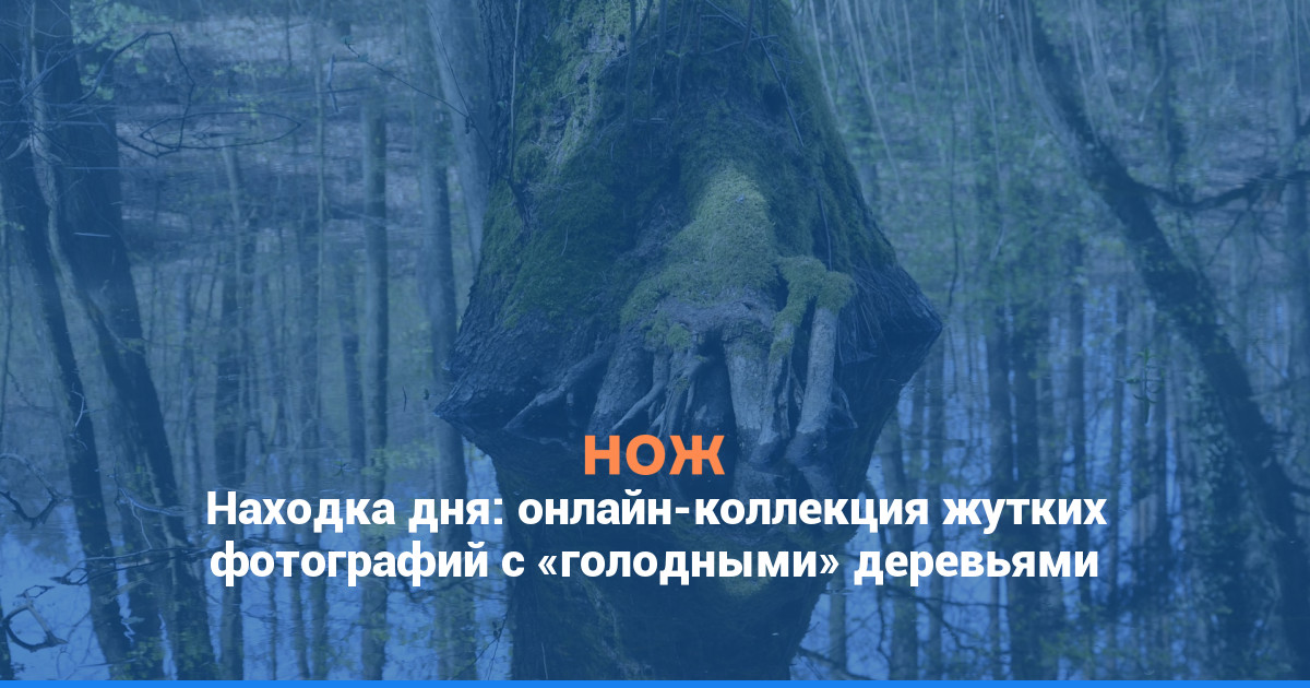 Находка дня: онлайн-коллекция жутких фотографий с «голодными» деревьями