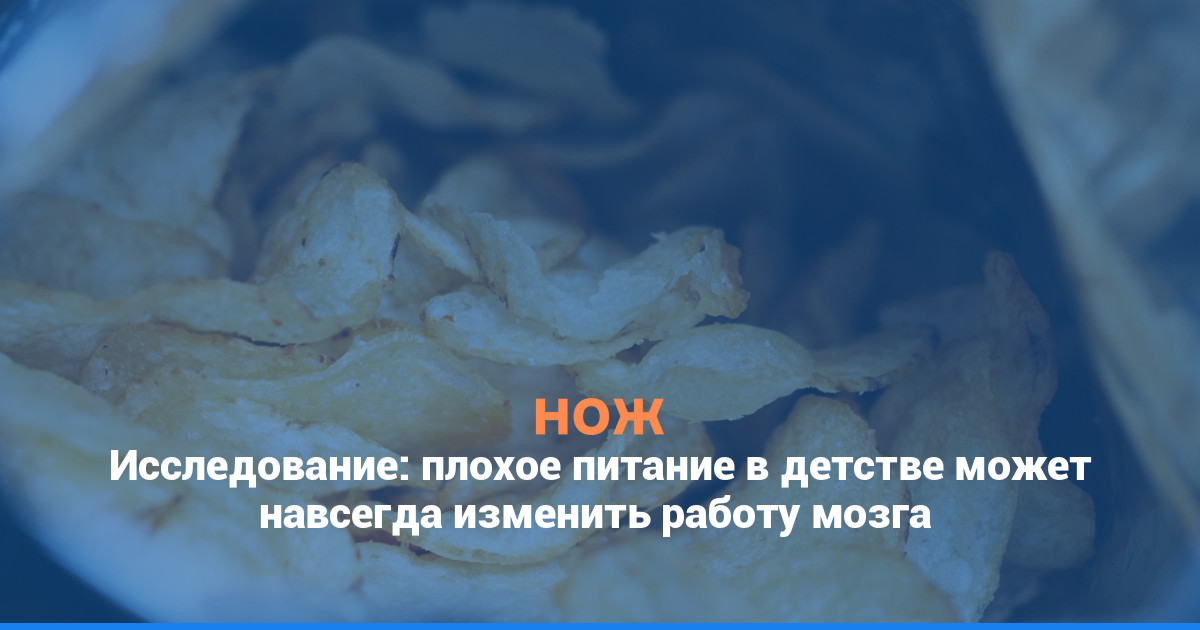 Исследование: плохое питание в детстве может навсегда изменить работу мозга