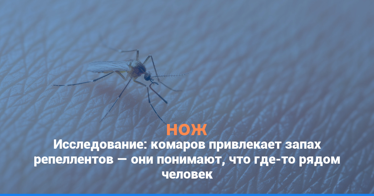 Исследование: комаров привлекает запах репеллентов — они понимают, что где-то рядом человек
