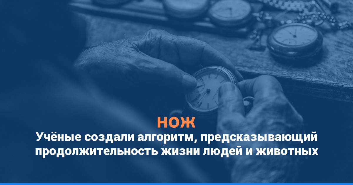 Учёные создали алгоритм, предсказывающий продолжительность жизни людей и животных