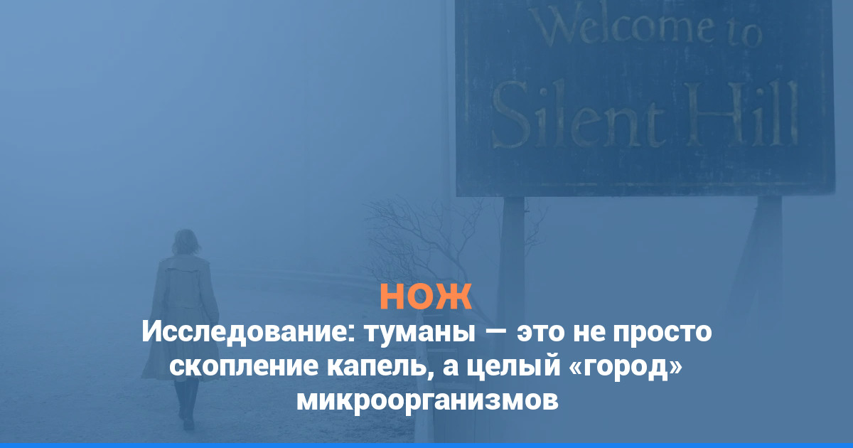 Исследование: туманы — это не просто скопление капель, а целый «город» микроорганизмов