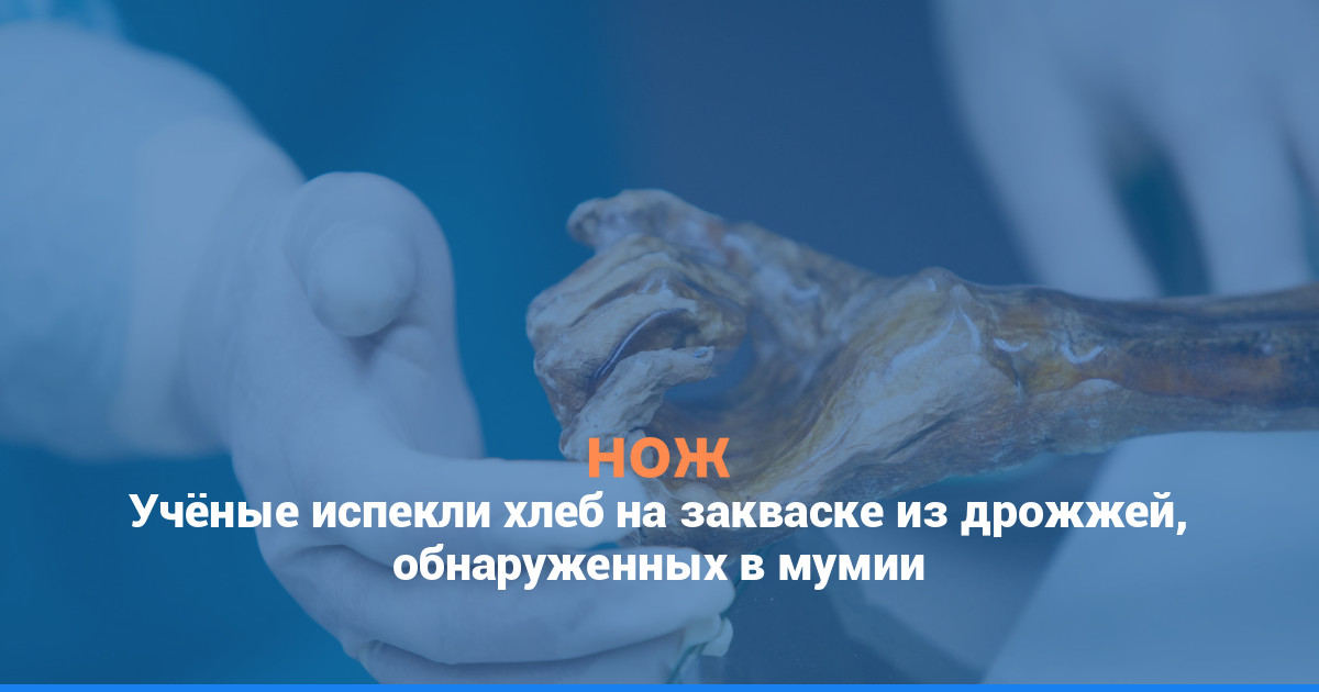 Учёные испекли хлеб на закваске из дрожжей, обнаруженных в мумии