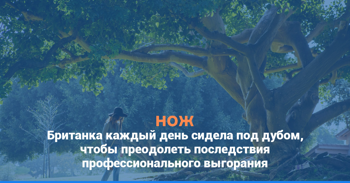 Британка каждый день сидела под дубом, чтобы преодолеть последствия профессионального выгорания