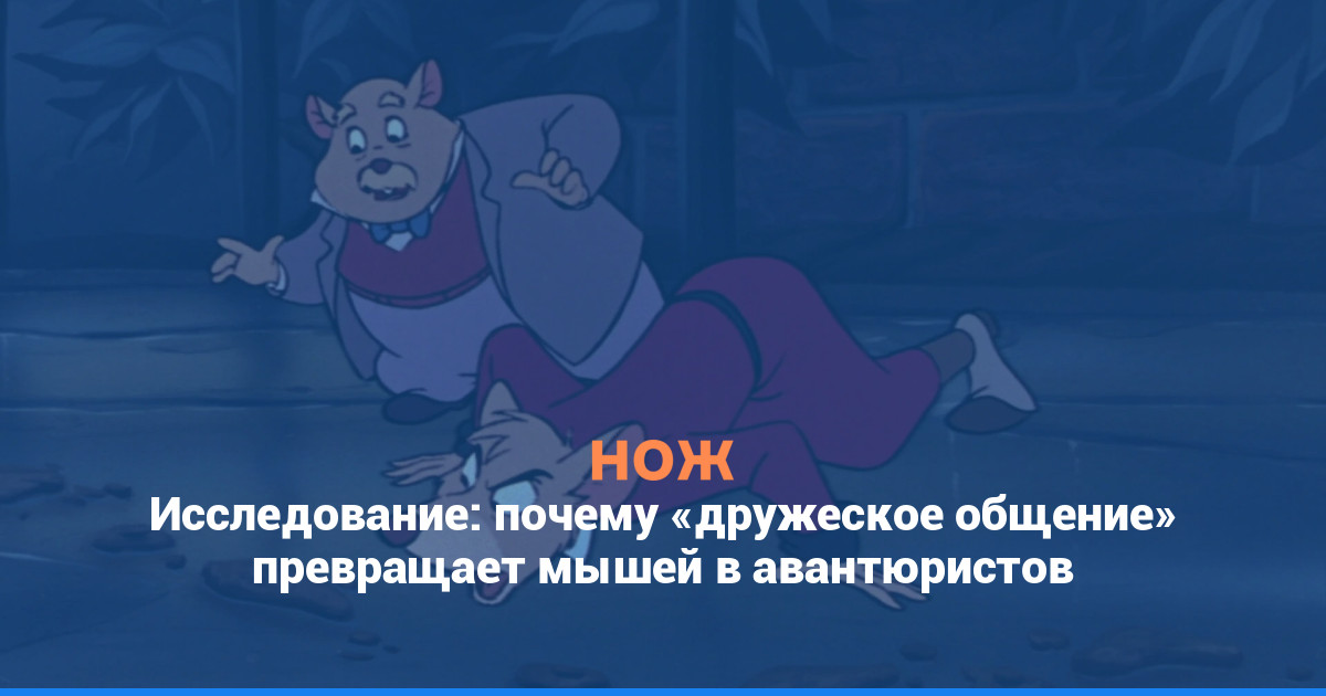Исследование: почему «дружеское общение» превращает мышей в авантюристов