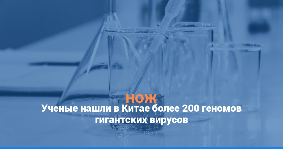 Ученые нашли в Китае более 200 геномов гигантских вирусов