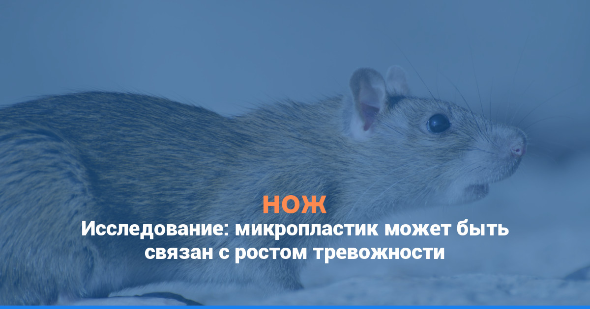 Исследование: микропластик может быть связан с ростом тревожности