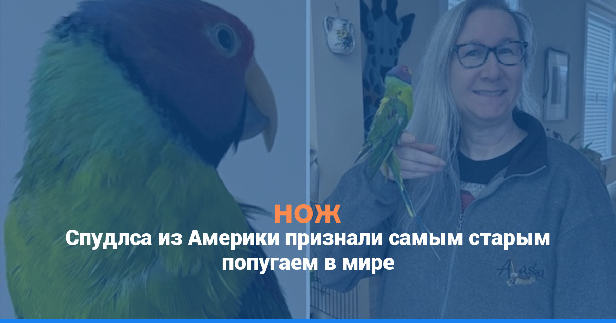 Спудлса из Америки признали самым старым попугаем в мире