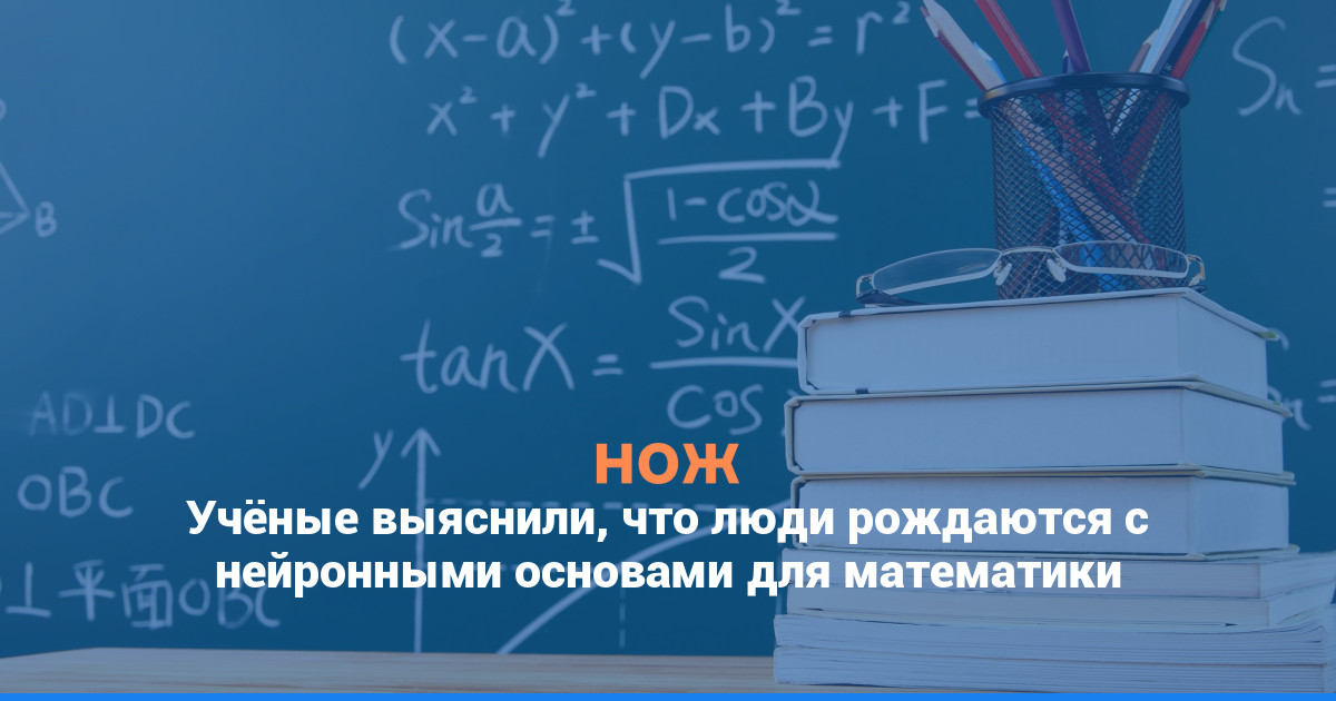 Учёные выяснили, что люди рождаются с нейронными основами для математики