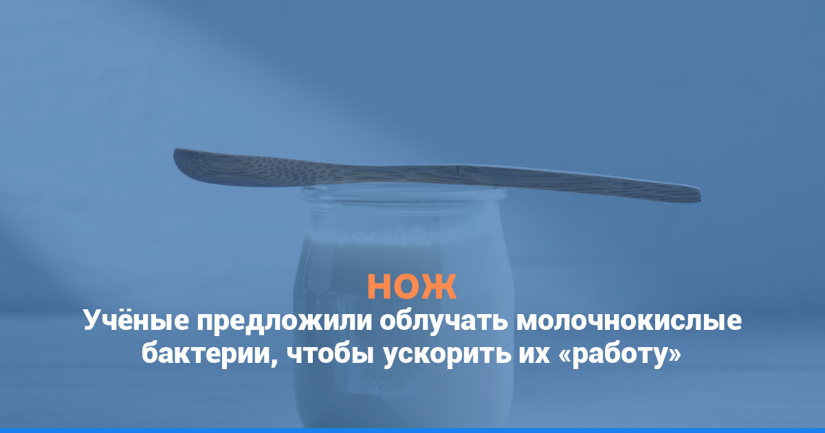 Учёные предложили облучать молочнокислые бактерии, чтобы ускорить их «работу»
