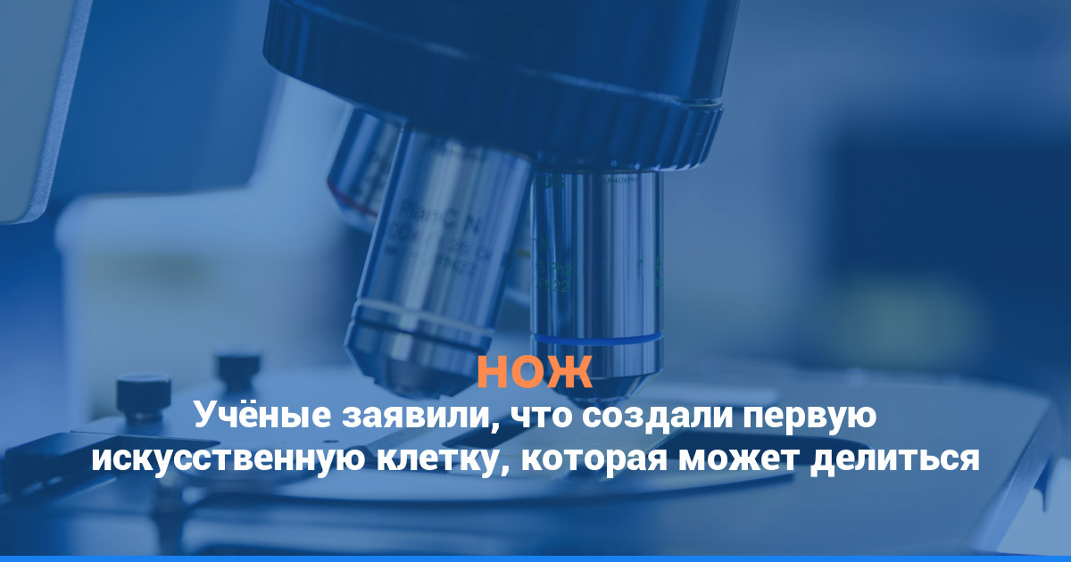Учёные заявили, что создали первую искусственную клетку, которая может делиться