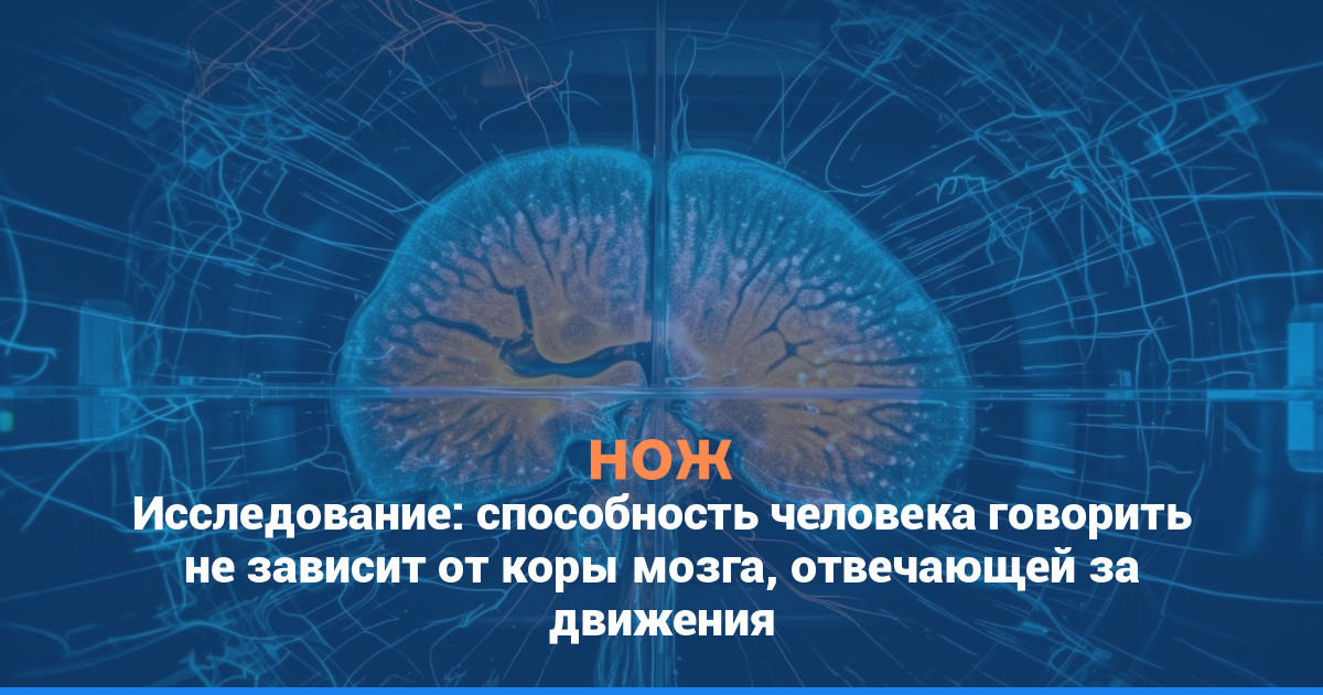 Исследование: способность человека говорить не зависит от коры мозга, отвечающей за движения