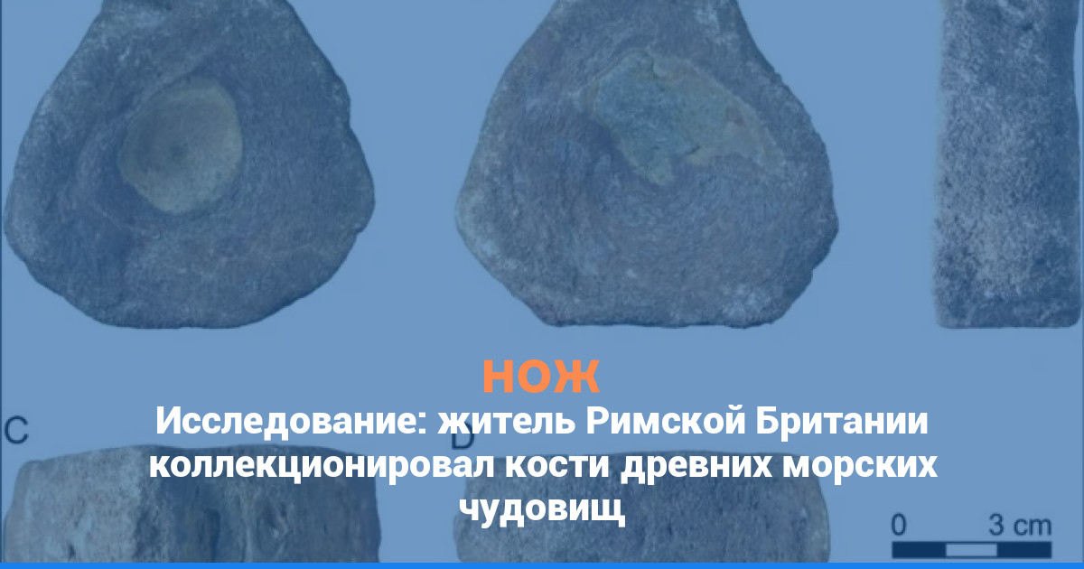 Исследование: житель Римской Британии коллекционировал кости древних морских чудовищ