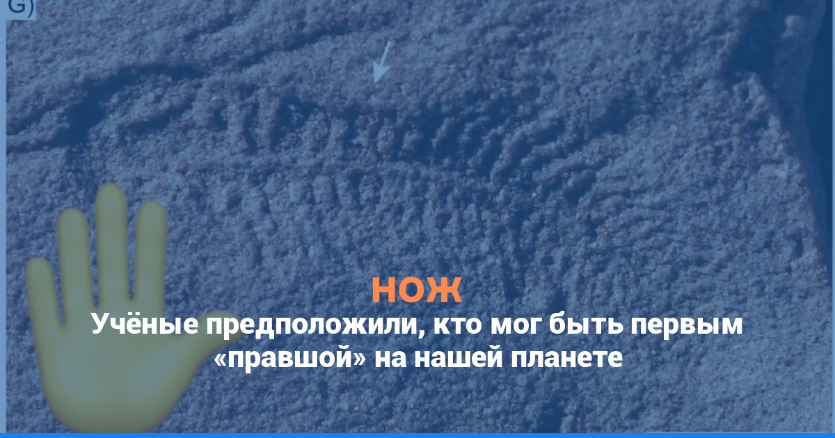 Учёные предположили, кто мог быть первым «правшой» на нашей планете