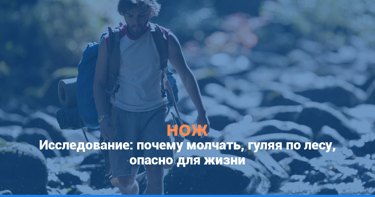 Исследование: почему молчать, гуляя по лесу, опасно для жизни