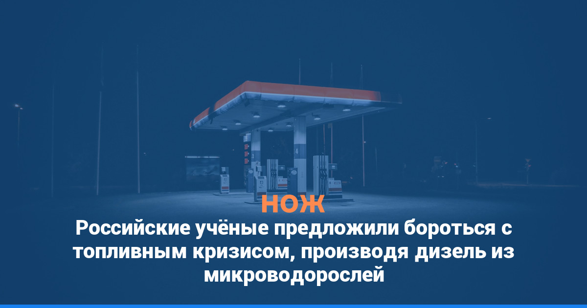 Российские учёные предложили бороться с топливным кризисом, производя дизель из микроводорослей