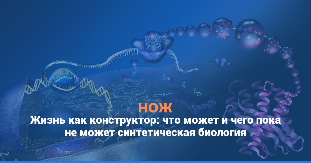 Жизнь как конструктор: что может и чего пока не может синтетическая биология