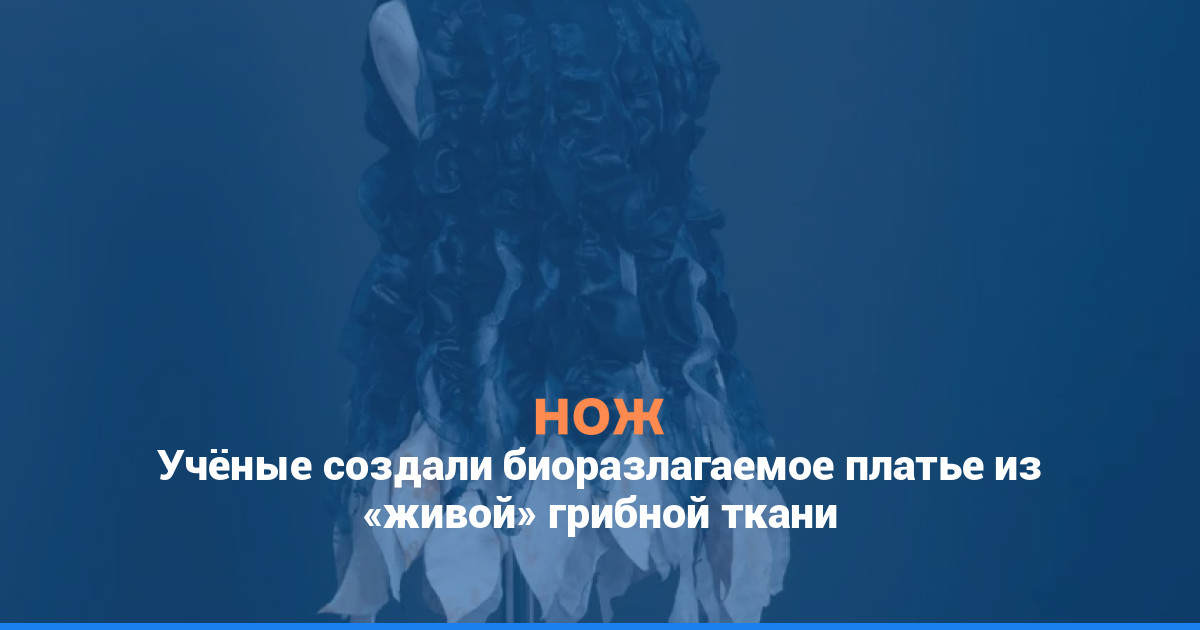 Учёные создали биоразлагаемое платье из «живой» грибной ткани
