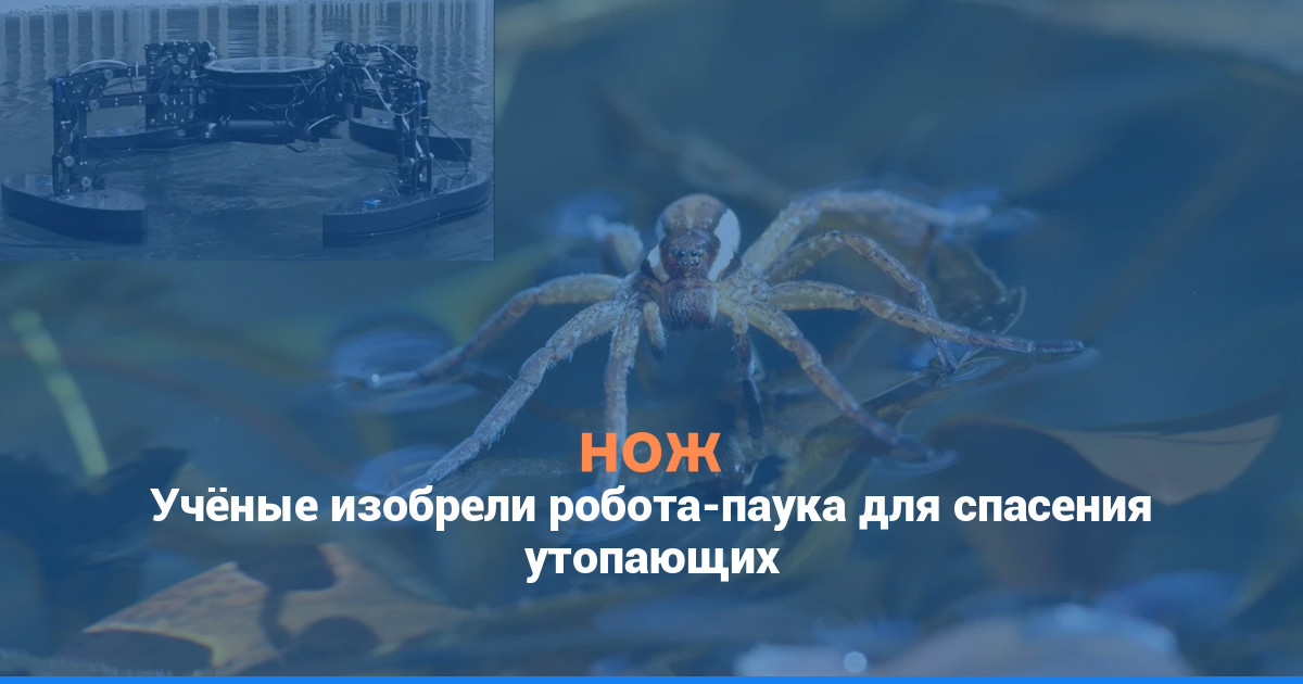 Учёные изобрели робота-паука для спасения утопающих