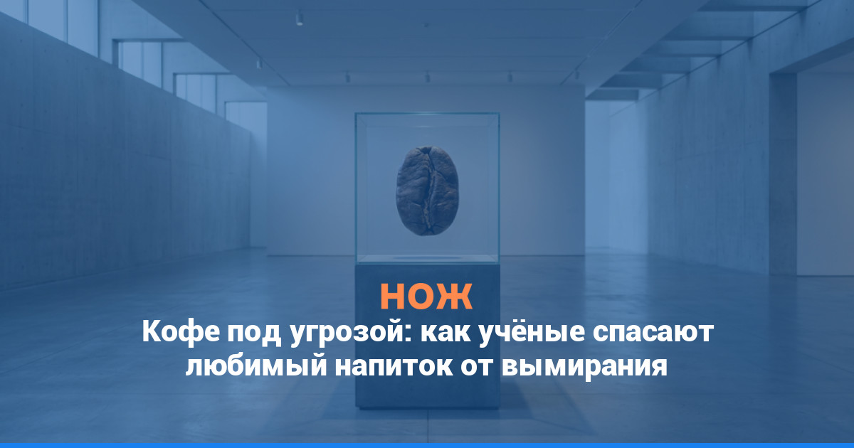 Кофе под угрозой: как учёные спасают любимый напиток от вымирания
