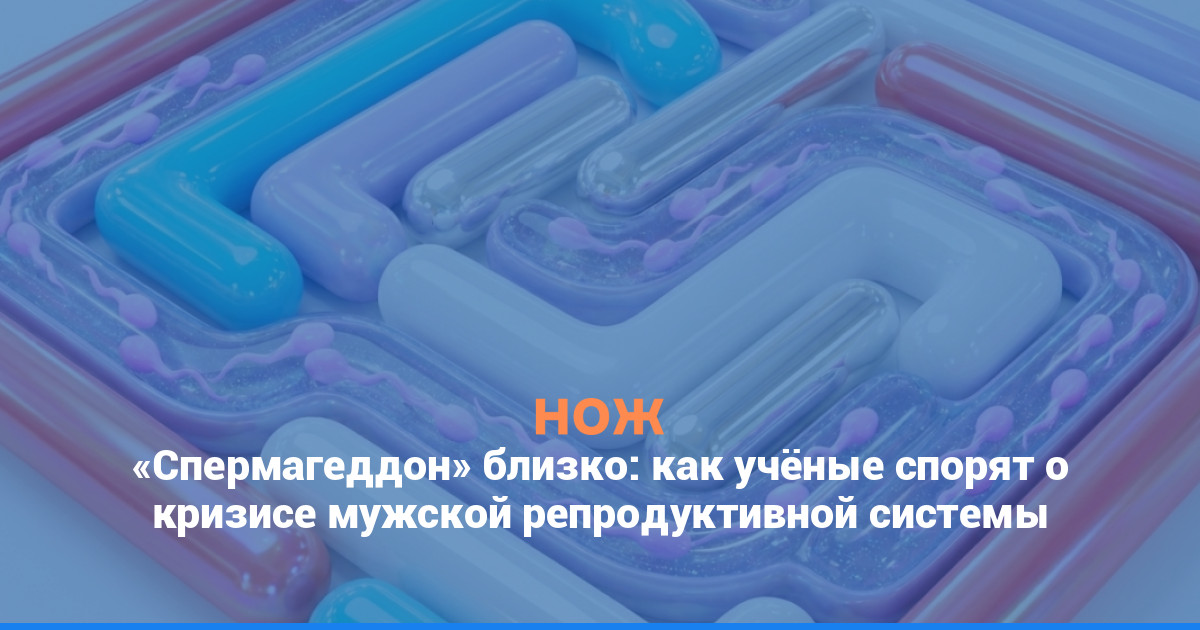 «Спермагеддон» близко: как учёные спорят о кризисе мужской репродуктивной системы 