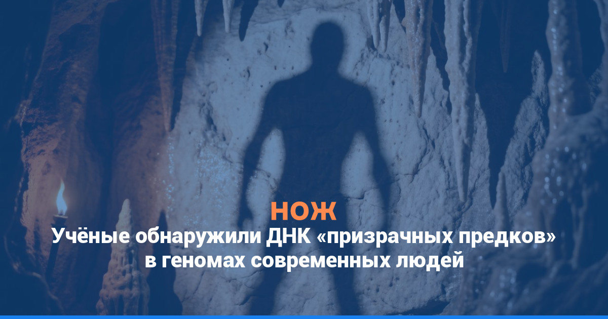 Учёные обнаружили ДНК «призрачных предков» в геномах современных людей