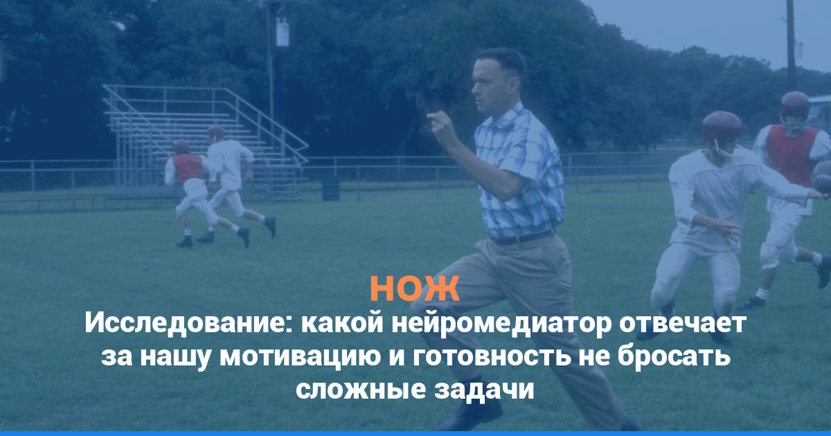 Исследование: какой нейромедиатор отвечает за нашу мотивацию и готовность не бросать сложные задачи