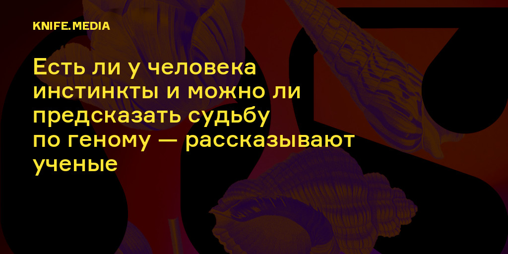 Есть ли у человека инстинкты. Инстинкты человека список. Единственный инстинкт человека. Человеком правят инстинкты. Существуют ли инстинкты у человека.