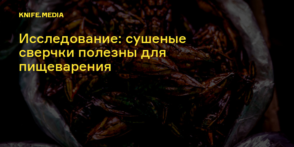 Исследование: сушеные сверчки полезны для пищеварения — Нож