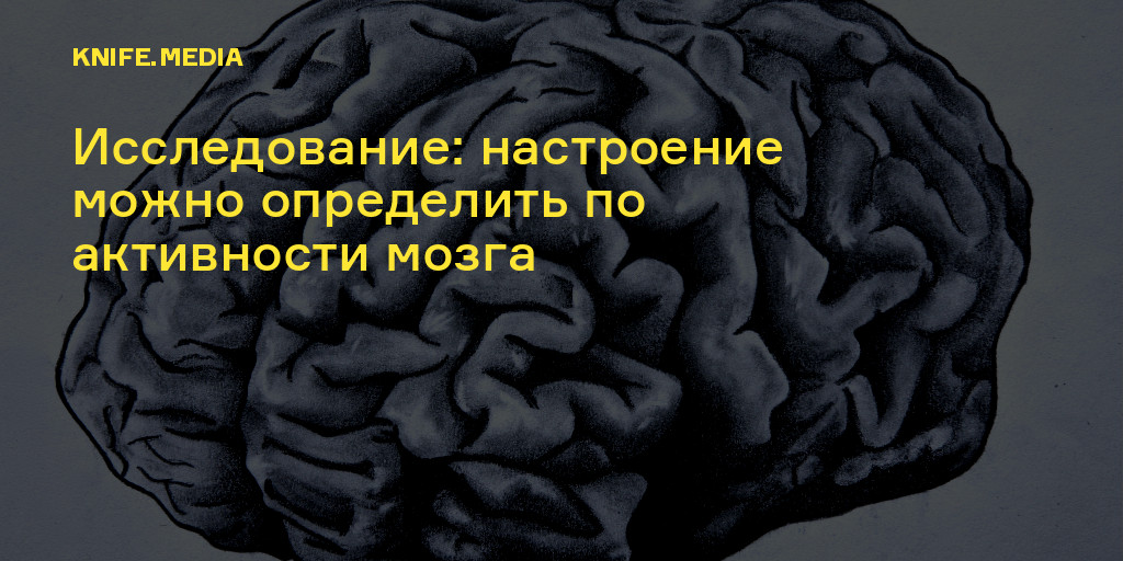 Исследуем мозг. Обновление мозга. Влияние окружающей среды на мозг. Изучение мозга в России. Исследования 