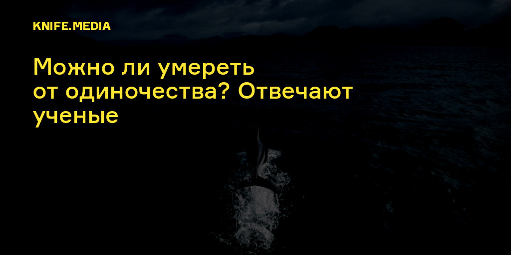 Одиночество. Советы психолога о том, как жить в одиночку