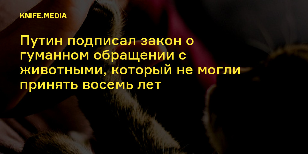 Более гуманным. Закон о гуманном отношении с животными.