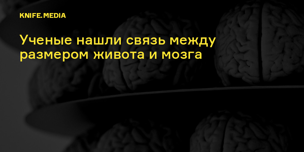 Мозг китайцев. Тест на старение мозга. Японский тест на старение мозга. Китайский тест на старение мозга.