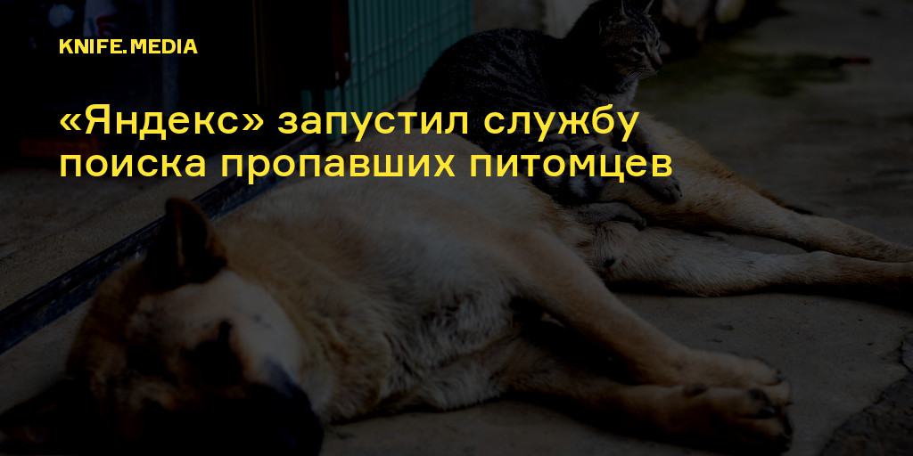 3. Разместите объявления в местах скопления людей