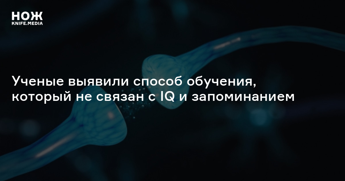 Ученые выявили способ обучения, который не связан с IQ и запоминанием — Нож