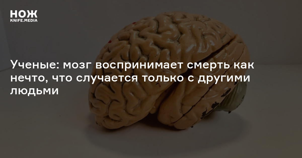 Ученые о мозге человека. Как работает память человека новейшие исследования. Как мозг воспринимает незавершенные дела. Как природа защитила мозг. Картинки которые не воспринимает мозг.