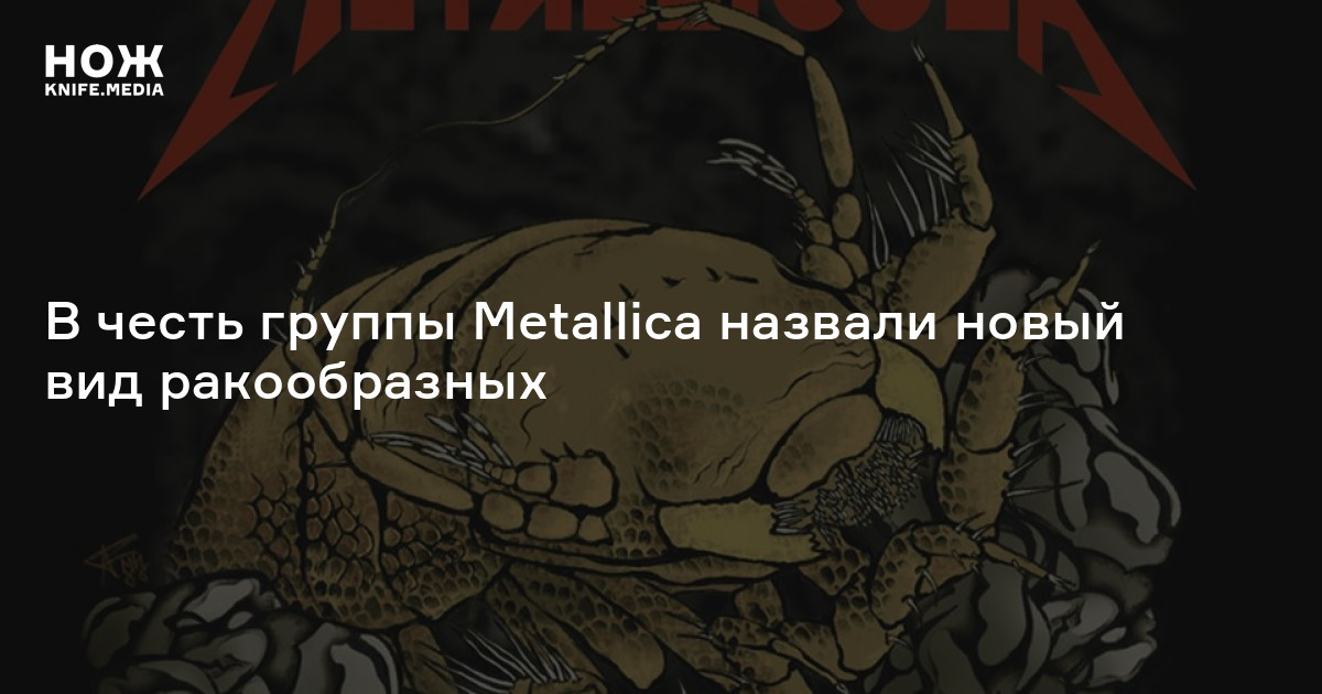 В честь группы Metallica назвали новый вид ракообразных — Нож